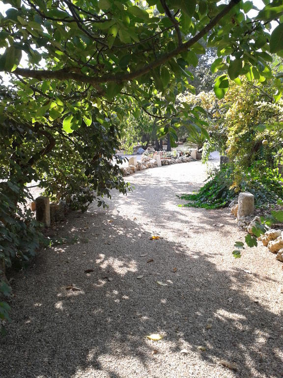 Tenuta La Spezia Carpignano Salentino Εξωτερικό φωτογραφία