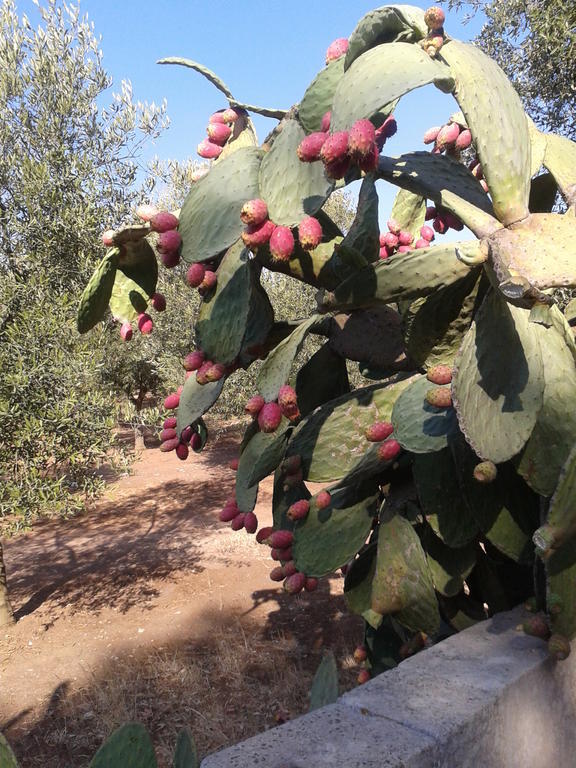 Tenuta La Spezia Carpignano Salentino Εξωτερικό φωτογραφία