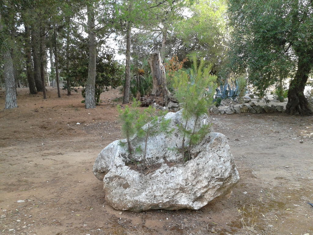Tenuta La Spezia Carpignano Salentino Εξωτερικό φωτογραφία