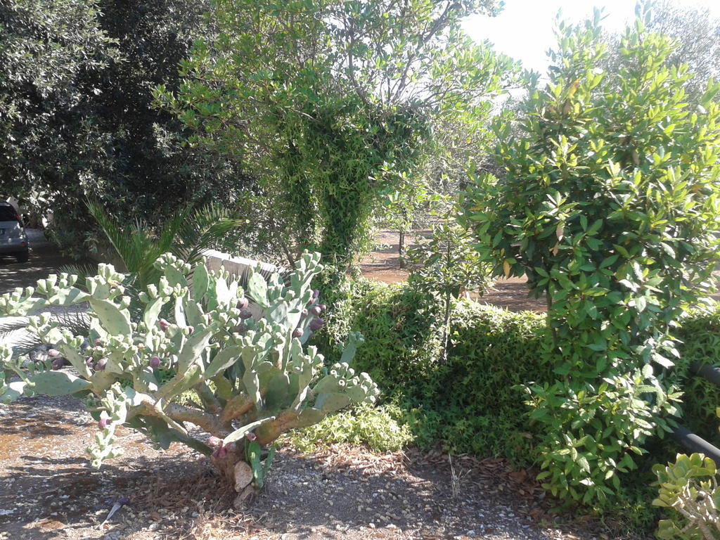 Tenuta La Spezia Carpignano Salentino Εξωτερικό φωτογραφία